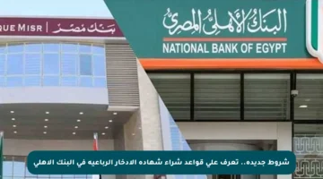 شروط جديدة.. تعرف على قواعد شراء شهادة الادخار الرباعية في البنك الأهلي